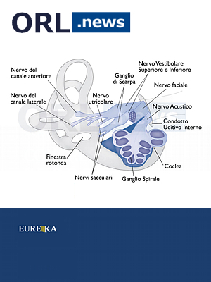 INNERVAZIONE DEL LABIRINTO