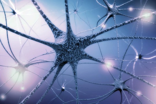 Una lieve ipoacusia in età giovanile modifica la funzione cerebrale