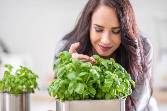 Olfatto e gusto: gli effetti a lungo termine del Covid-19