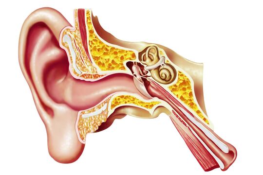 Neurinoma: perché insorge e come trattarlo