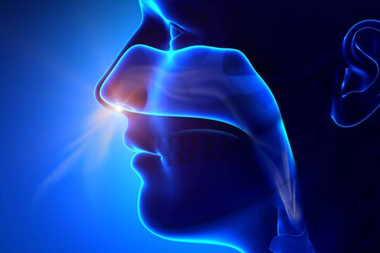 Anosmia: le cause e i possibili interventi di recupero