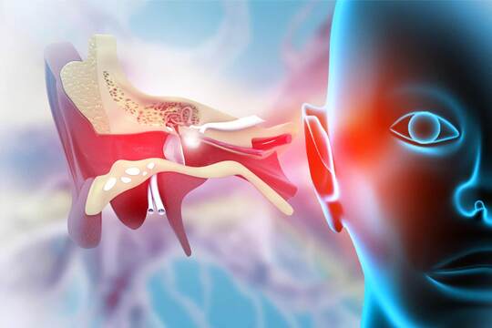 Olografia digitale ad alta velocità per studiare la membrana timpanica