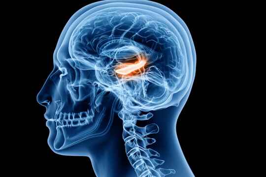 Ruolo dell’ippocampo nel processo di segmentazione del parlato