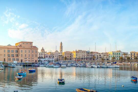 Dalle linee guida alla pratica clinica, preparando il futuro con la telemedicina: news dal XX Congresso AIOLP