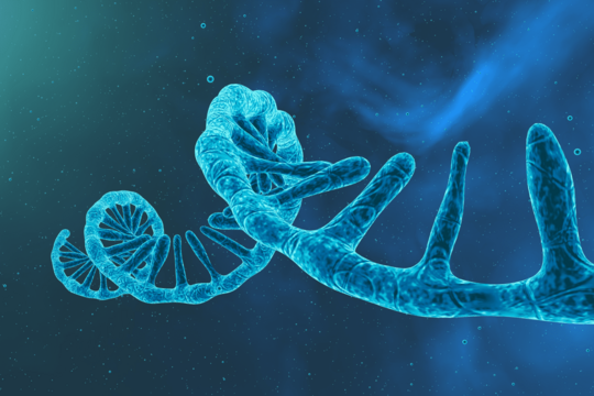 Determinazione di una miRNA signature e di fattori peptidici circolanti per la diagnosi e predizione di estensione di malattia nel carcinoma della laringe